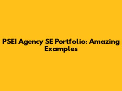 PSEI Agency SE Portfolio: Amazing Examples