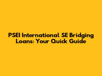 PSEI International SE Bridging Loans: Your Quick Guide