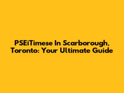 PSEiTimese In Scarborough, Toronto: Your Ultimate Guide