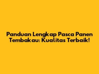 Panduan Lengkap Pasca Panen Tembakau: Kualitas Terbaik!