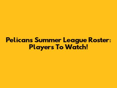 Pelicans Summer League Roster: Players To Watch!