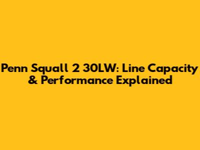 Penn Squall 2 30LW: Line Capacity & Performance Explained