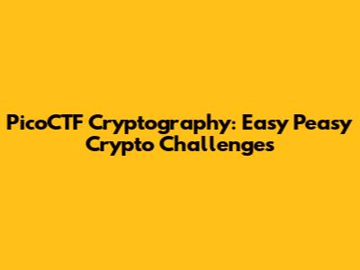 PicoCTF Cryptography: Easy Peasy Crypto Challenges