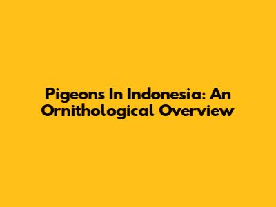 Pigeons In Indonesia: An Ornithological Overview