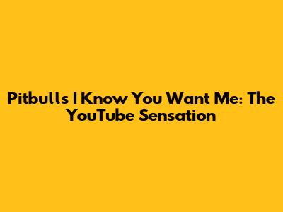 Pitbull's 'I Know You Want Me': The YouTube Sensation