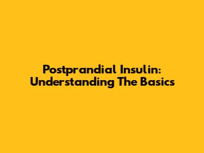 Postprandial Insulin: Understanding The Basics