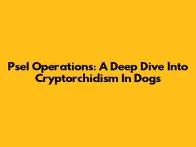 PseI Operations: A Deep Dive Into Cryptorchidism In Dogs