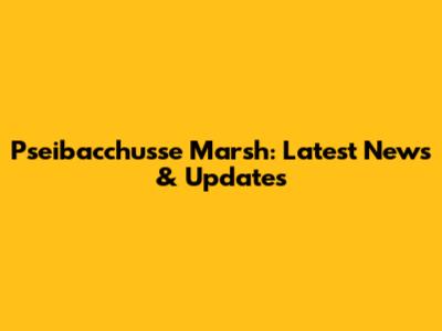 Pseibacchusse Marsh: Latest News & Updates