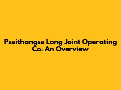 Pseithangse Long Joint Operating Co: An Overview