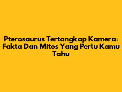 Pterosaurus Tertangkap Kamera: Fakta Dan Mitos Yang Perlu Kamu Tahu