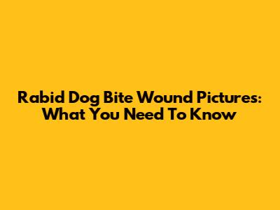 Rabid Dog Bite Wound Pictures: What You Need To Know