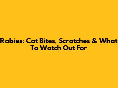 Rabies: Cat Bites, Scratches & What To Watch Out For