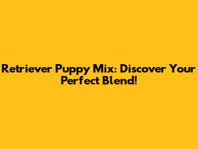 Retriever Puppy Mix: Discover Your Perfect Blend!