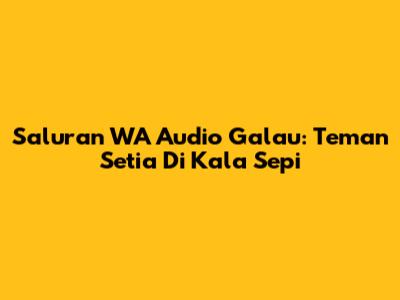 Saluran WA Audio Galau: Teman Setia Di Kala Sepi