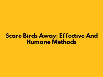 Scare Birds Away: Effective And Humane Methods