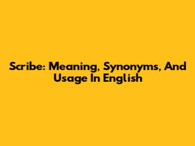 Scribe: Meaning, Synonyms, And Usage In English