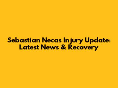 Sebastian Necas Injury Update: Latest News & Recovery