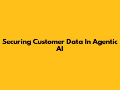 Securing Customer Data In Agentic AI