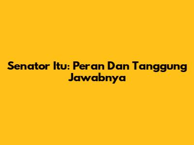 Senator Itu: Peran Dan Tanggung Jawabnya