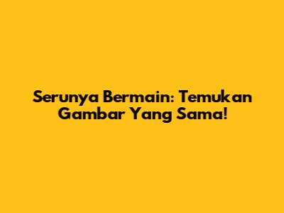 Serunya Bermain: Temukan Gambar Yang Sama!