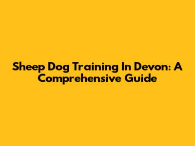 Sheep Dog Training In Devon: A Comprehensive Guide