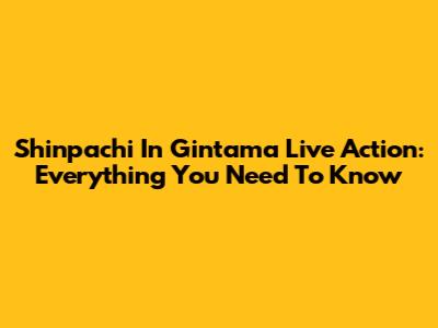 Shinpachi In Gintama Live Action: Everything You Need To Know