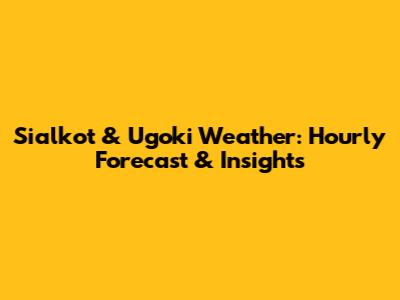 Sialkot & Ugoki Weather: Hourly Forecast & Insights