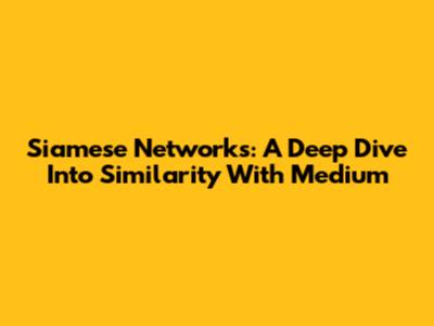 Siamese Networks: A Deep Dive Into Similarity With Medium
