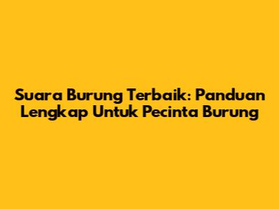 Suara Burung Terbaik: Panduan Lengkap Untuk Pecinta Burung
