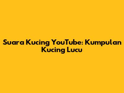 Suara Kucing YouTube: Kumpulan Kucing Lucu