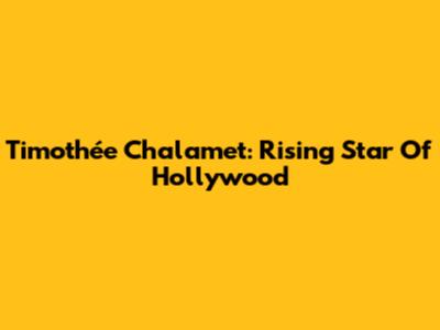 Timothée Chalamet: Rising Star Of Hollywood