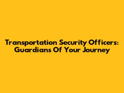 Transportation Security Officers: Guardians Of Your Journey