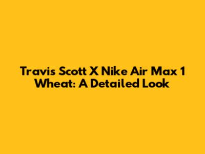 Travis Scott X Nike Air Max 1 'Wheat': A Detailed Look