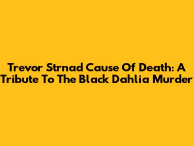 Trevor Strnad Cause Of Death: A Tribute To The Black Dahlia Murder