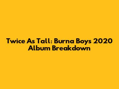 Twice As Tall: Burna Boy's 2020 Album Breakdown