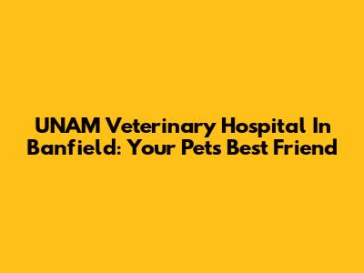UNAM Veterinary Hospital In Banfield: Your Pet's Best Friend