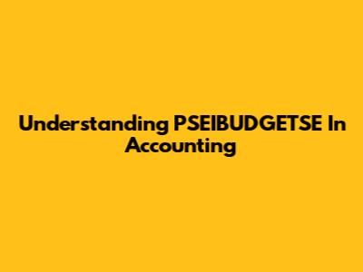 Understanding PSEIBUDGETSE In Accounting