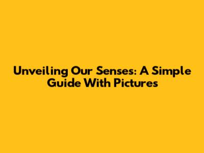 Unveiling Our Senses: A Simple Guide With Pictures