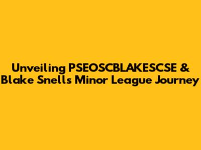 Unveiling PSEOSCBLAKESCSE & Blake Snell's Minor League Journey
