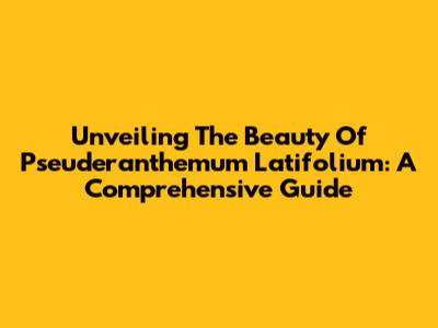 Unveiling The Beauty Of Pseuderanthemum Latifolium: A Comprehensive Guide