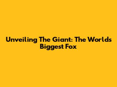 Unveiling The Giant: The World's Biggest Fox