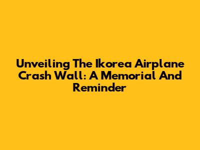Unveiling The Ikorea Airplane Crash Wall: A Memorial And Reminder
