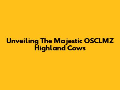 Unveiling The Majestic OSCLMZ Highland Cows