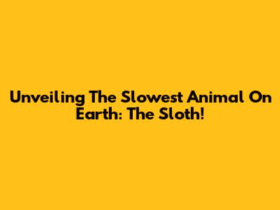 Unveiling The Slowest Animal On Earth: The Sloth!