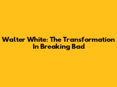 Walter White: The Transformation In Breaking Bad