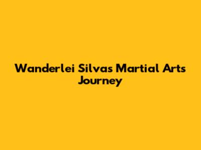 Wanderlei Silva's Martial Arts Journey