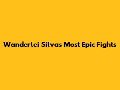 Wanderlei Silva's Most Epic Fights