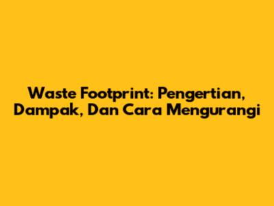 Waste Footprint: Pengertian, Dampak, Dan Cara Mengurangi