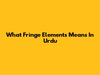 What "Fringe Elements" Means In Urdu