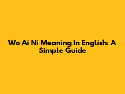 Wo Ai Ni Meaning In English: A Simple Guide